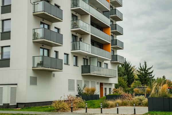 La propagation des plantes d'intérieur : un guide étape par étape