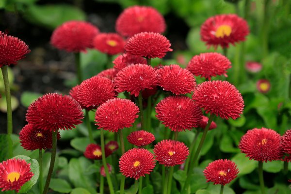 Volets roulants solaires : une solution intelligente et économique